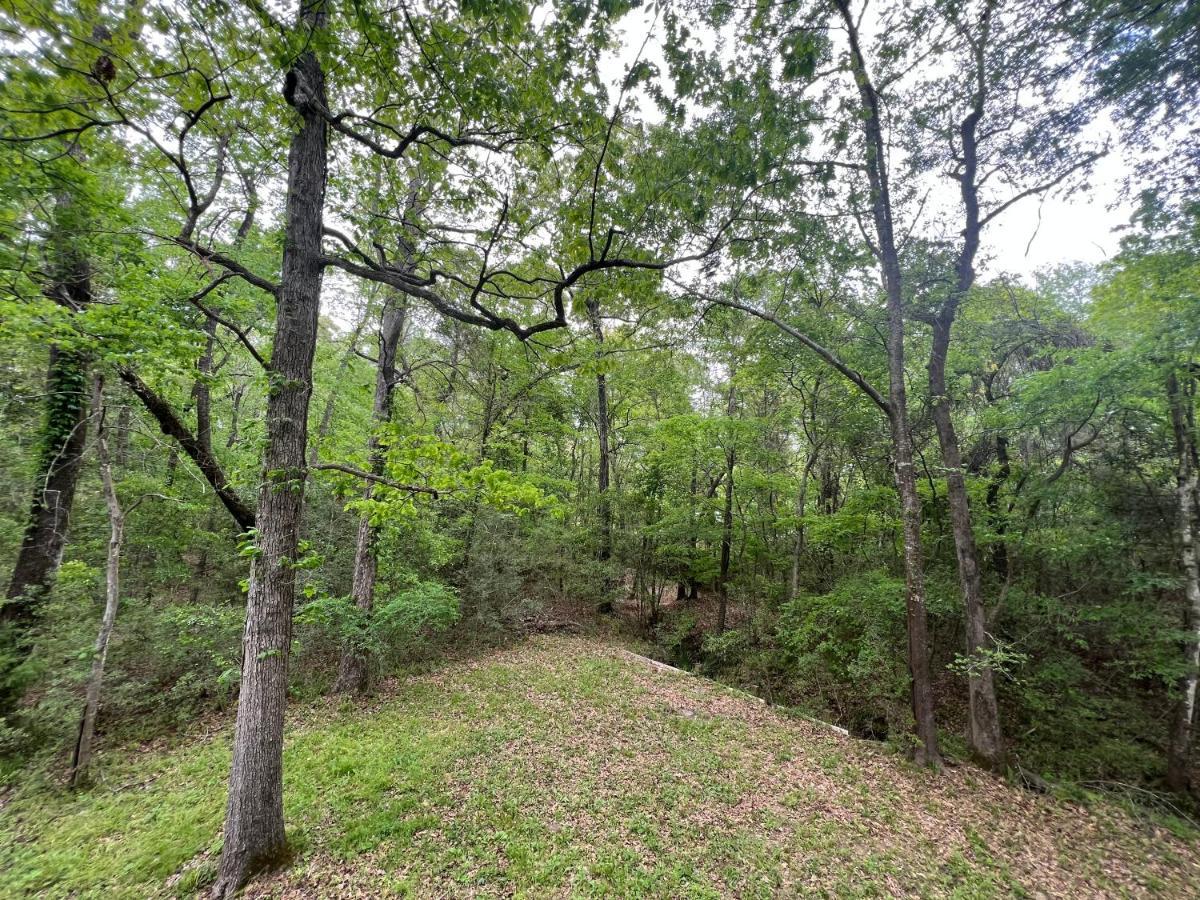 2 Bdrm Treehouse Hideout- Lake Conroe With Boat Ramp Montgomery Exterior foto